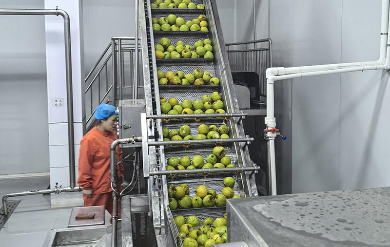 梨膏生產(chǎn)線(xiàn)