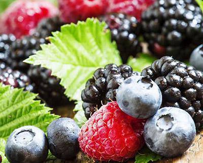 藍(lán)莓、樹莓、草莓飲料生產(chǎn)線