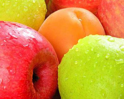 蘋果、梨加工生產(chǎn)線